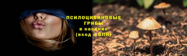альфа пвп Протвино