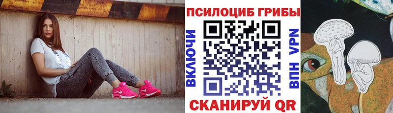 Псилоцибиновые грибы Magic Shrooms  blacksprut рабочий сайт  Щёкино 